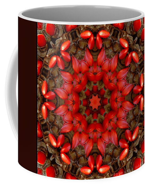 Kaleidoscope Coffee Mug featuring the digital art Red Kaleidoscope No. 1 by Lyle Hatch