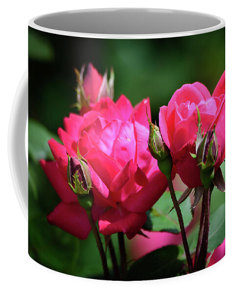 Red Knock-out Roses Coffee Mug featuring the photograph Red Knock-out Roses by Debra Martz