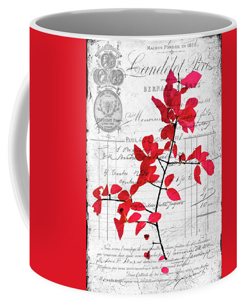 Black Coffee Mug featuring the photograph Red Leaves by Cathy Kovarik