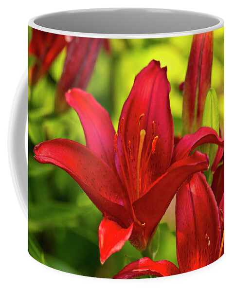 Red Coffee Mug featuring the photograph Red Lily by Bill Barber