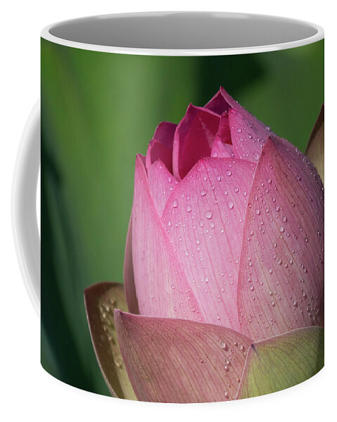 Red Coffee Mug featuring the photograph Red Lotus Blossom by Jack Nevitt