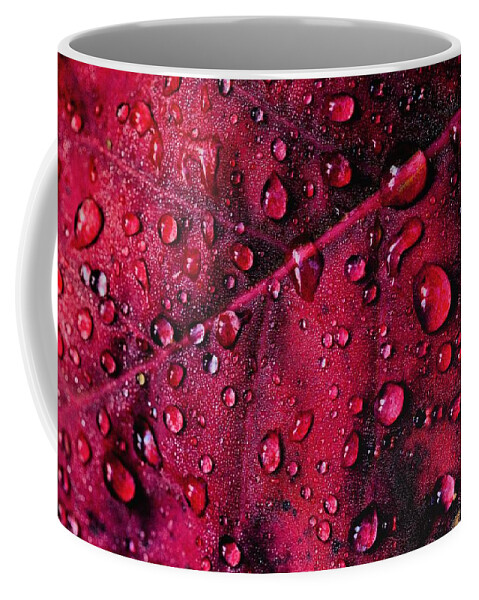 Nature Coffee Mug featuring the photograph Red Morning by Gene Garnace