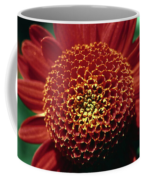 Red Mum Center; Close-up Coffee Mug featuring the photograph Red Mum Center by Sally Weigand