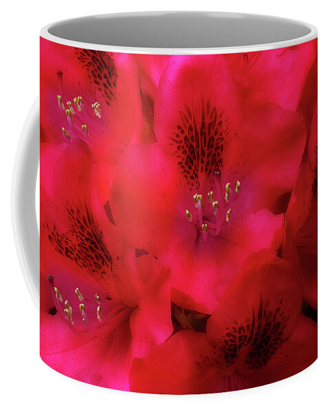 Flowers Coffee Mug featuring the photograph Red Petals by Mike Eingle