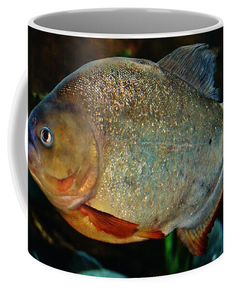 Piranha Coffee Mug featuring the photograph Red Piranha by Eileen Brymer