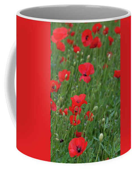 Poppy Coffee Mug featuring the photograph Red poppie anemone field by Michalakis Ppalis