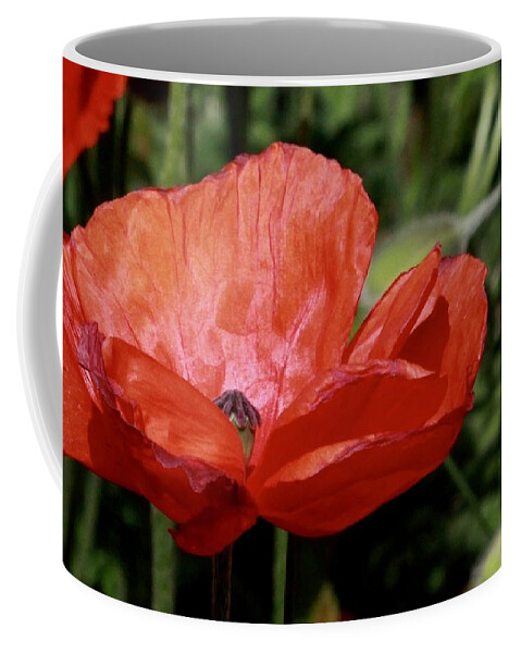 Flower Coffee Mug featuring the photograph Red Poppy by Sarah Lilja