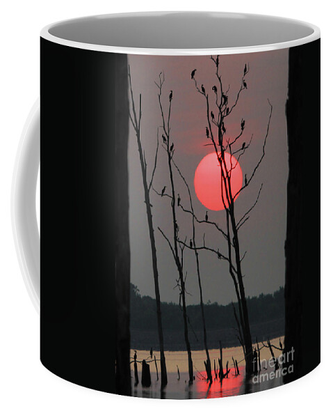 Sunrise  Coffee Mug featuring the photograph Red Rise Cormorants by Roger Becker