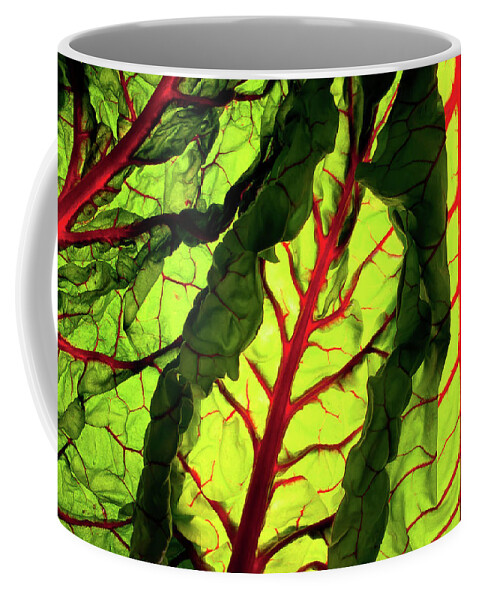 Red Coffee Mug featuring the photograph Red River by Bobby Villapando