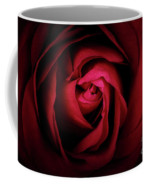 Rose Coffee Mug featuring the photograph Red Rose by Jane Rix