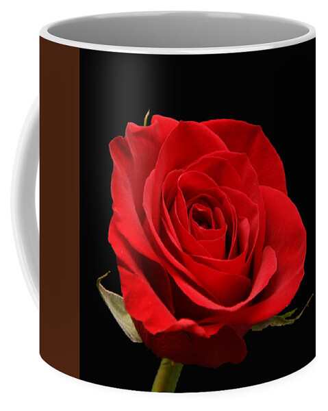 Red Coffee Mug featuring the photograph Red Rose on Black 1 by George Jones