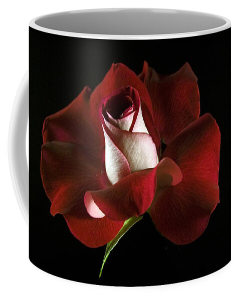 Rose Coffee Mug featuring the photograph Red Rose Petals by Elsa Santoro