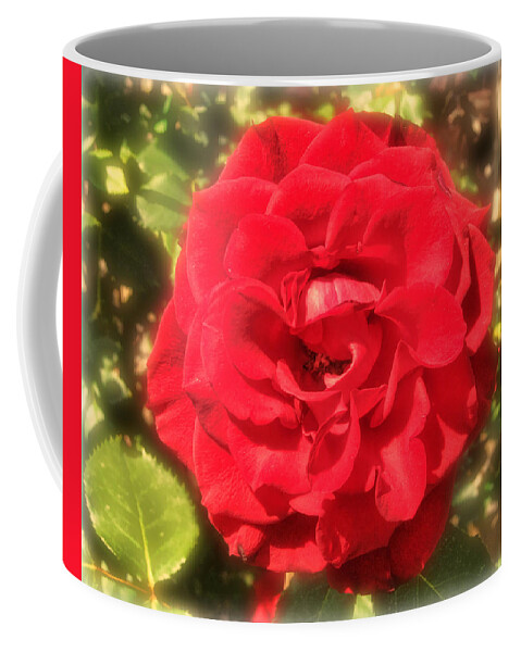Victor Montgomery Coffee Mug featuring the photograph Red Rose by Vic Montgomery