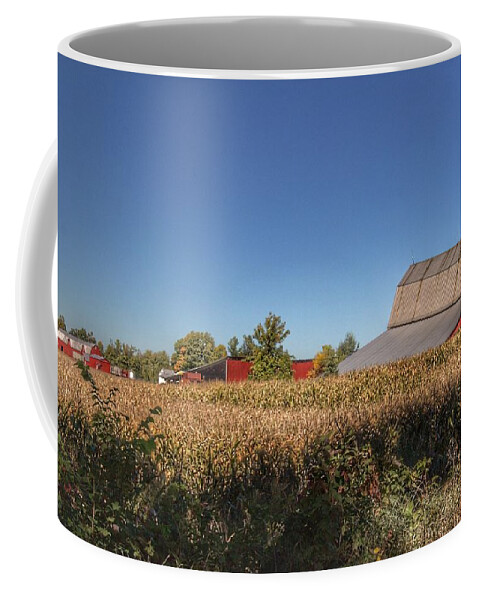 Barn Coffee Mug featuring the photograph 0042 - Red Saltbox Barn by Sheryl L Sutter