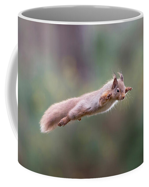 Red Coffee Mug featuring the photograph Red Squirrel Leaping by Pete Walkden