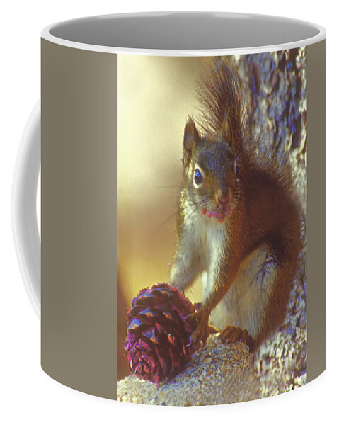 Squirrel Coffee Mug featuring the photograph Red Squirrel With Pine Cone by Gary Beeler