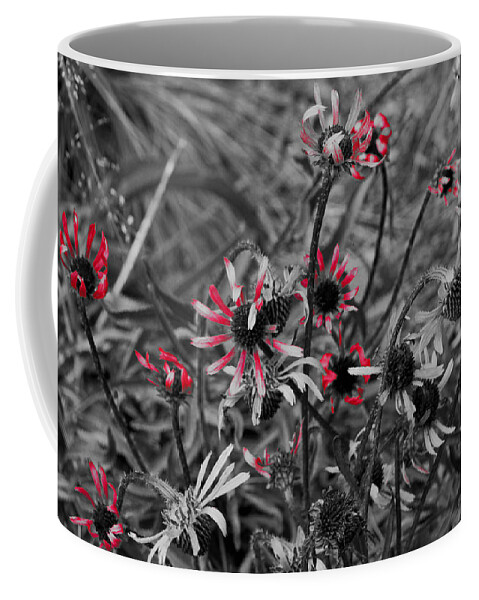 Fall Coffee Mug featuring the photograph Red Streaks by Deborah Crew-Johnson