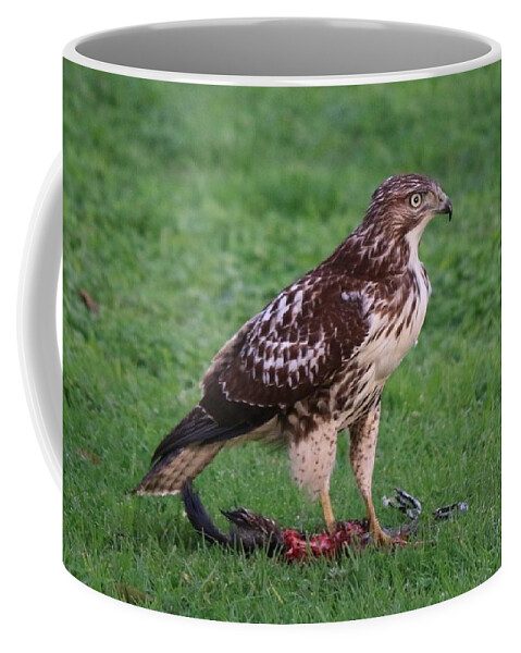 Red-tailed Hawk Coffee Mug featuring the photograph Red-Tailed Hawk Eating Dinner by Christy Pooschke