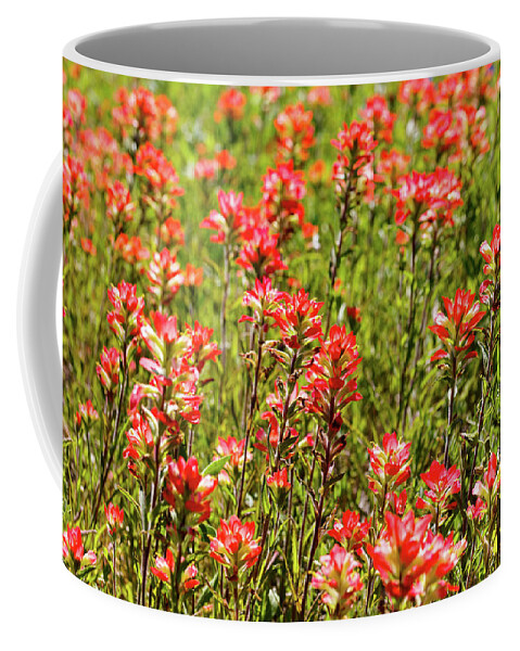 Austin Coffee Mug featuring the photograph Red Texas Wildflowers by Raul Rodriguez