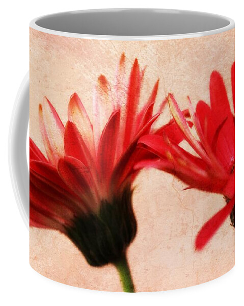 Gerbera Coffee Mug featuring the photograph Red Texture by Clare Bevan