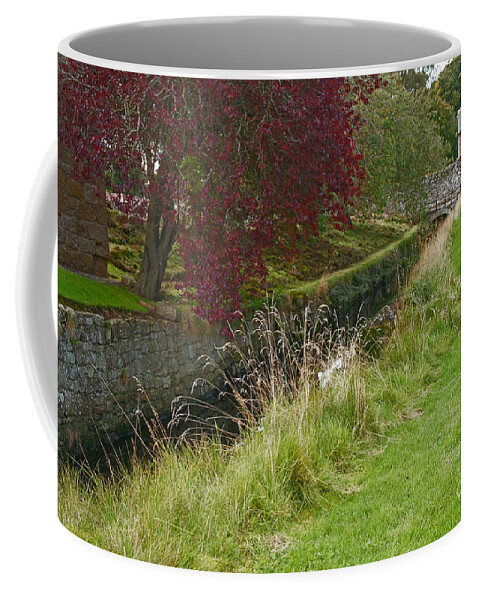 Red Tree Coffee Mug featuring the photograph Red Tree at the old water duct by Elena Perelman