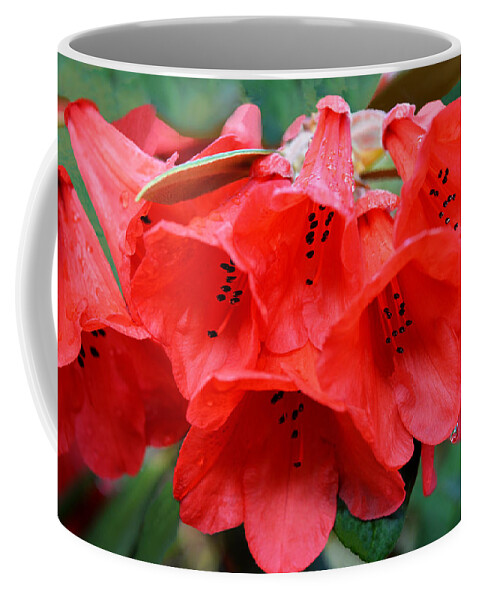 Rhododendron Coffee Mug featuring the photograph Red Trumpet Rhodies by Ginny Barklow