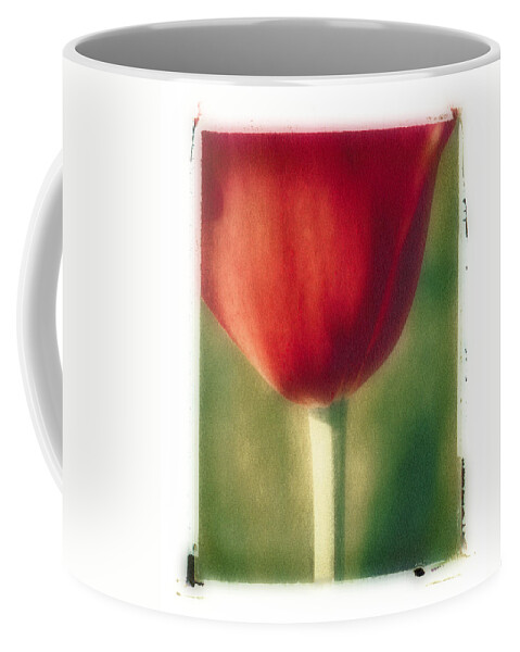 Spring Coffee Mug featuring the photograph Red Tulip by Joye Ardyn Durham