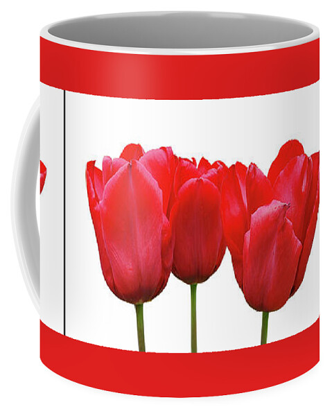 Red Tulip Coffee Mug featuring the photograph Red Tulip Triptych on White by Gill Billington