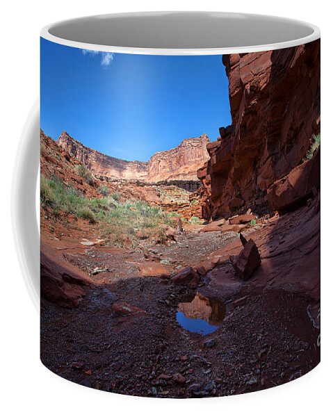 Red Rock Landscape Coffee Mug featuring the photograph Red Wash by Jim Garrison
