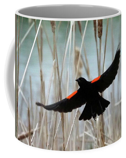 Bird Coffee Mug featuring the photograph Red-Winged Blackbird I by C H Apperson