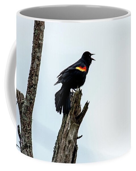 Red-winged Blackbird Coffee Mug featuring the photograph Red-Winged Blackbird by Paul Mashburn