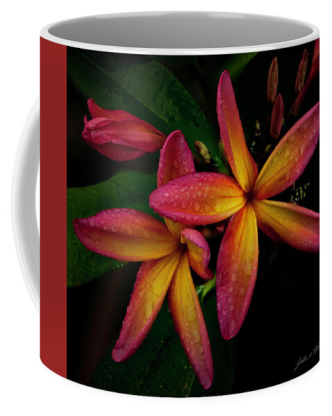 Plumeria Coffee Mug featuring the photograph Red/Yellow Plumeria in Bloom by John A Rodriguez