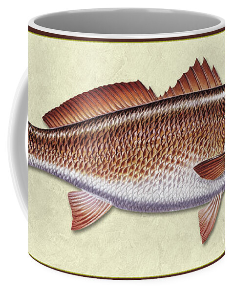 Jon Q Wright Redfish Ocean Saltwater Gamefish Fishing Fish Print Fish Poster Lure Tackle Coffee Mug featuring the painting Redfish ID by Jon Q Wright