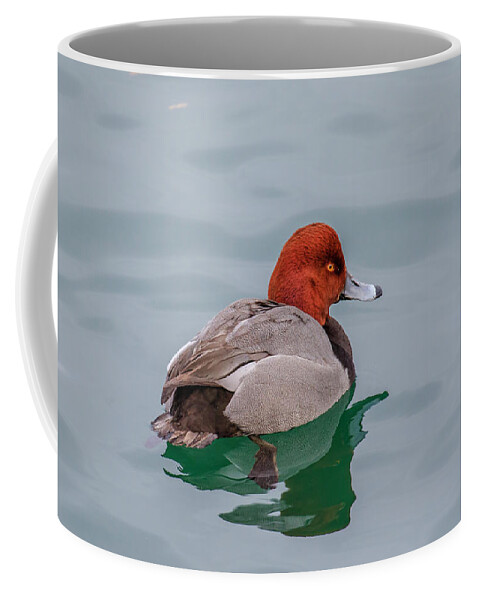 Canada Coffee Mug featuring the photograph Redhead 3 by Gary Hall