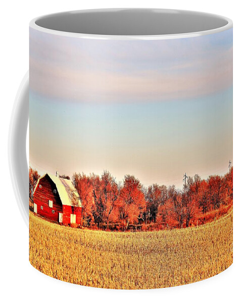 Barn Coffee Mug featuring the photograph Reds and Oranges by Merle Grenz