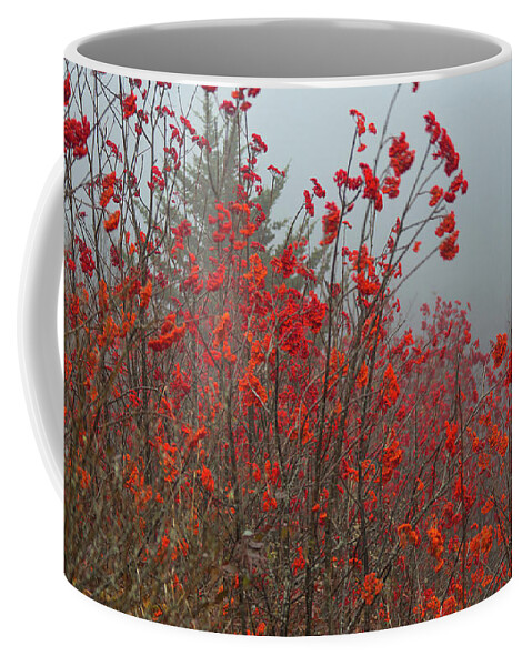 Red Coffee Mug featuring the photograph Reds by Walt Baker