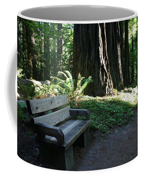 Redwood Bench Ii Coffee Mug featuring the photograph Redwood Bench II by Dylan Punke