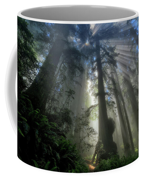 Redwood National Park Coffee Mug featuring the photograph Redwood God Rays by Greg Norrell