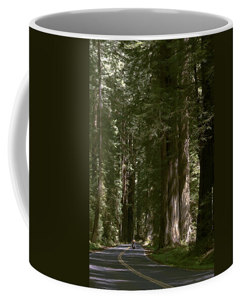 Redwood Highway Coffee Mug featuring the photograph Redwood Highway by Wes and Dotty Weber