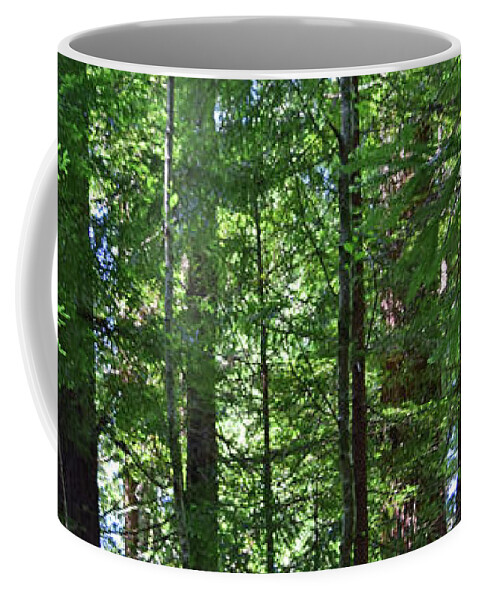Redwoods Coffee Mug featuring the photograph Redwoods No. 3-1 by Sandy Taylor