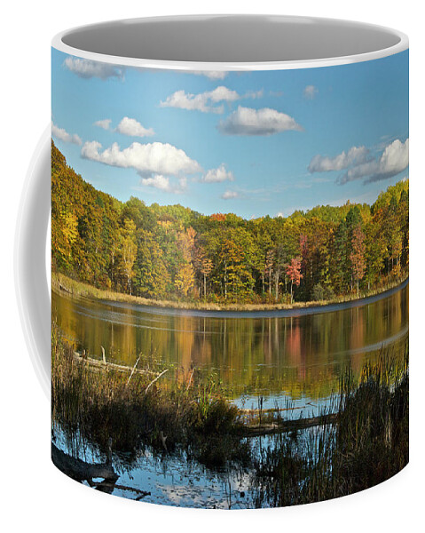 Lake Coffee Mug featuring the photograph Reed Lake 0249 by Michael Peychich