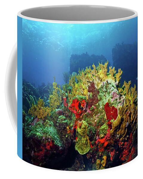 Coral Reef Coffee Mug featuring the photograph Reef Scene with Divers Bubbles by Pauline Walsh Jacobson