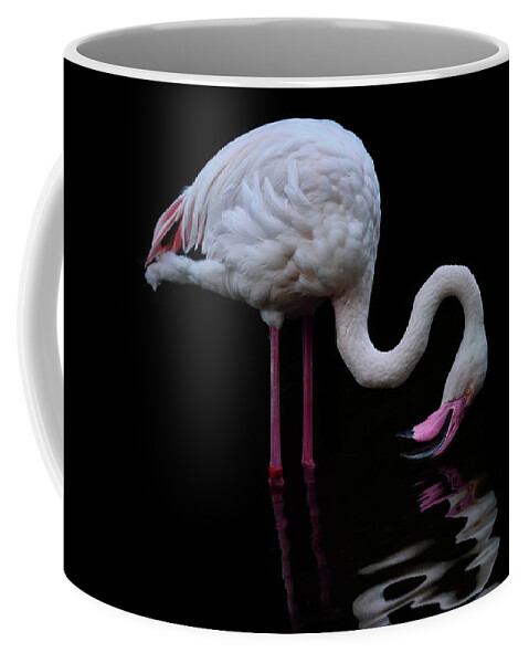 Greater Flamingo Coffee Mug featuring the photograph Reflecting by Carol Eade