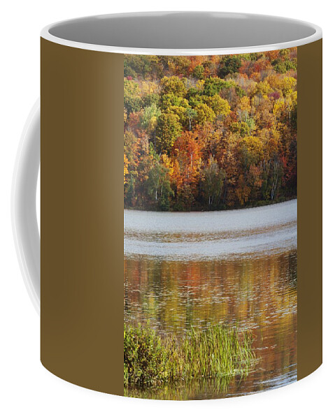 Shoreline Coffee Mug featuring the photograph Reflection Of Autumn Colors In A Lake by Susan Dykstra