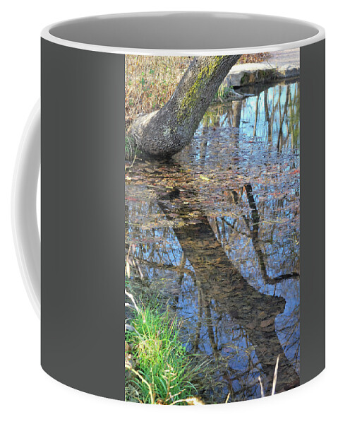 Pond Coffee Mug featuring the photograph Reflections I by Ron Cline