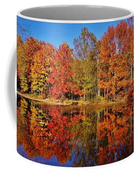 Autumn Coffee Mug featuring the photograph Reflections in Autumn by Ed Sweeney