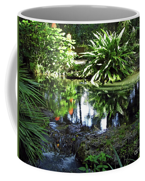 Rainbow Springs Coffee Mug featuring the photograph Reflections In The Forest by D Hackett