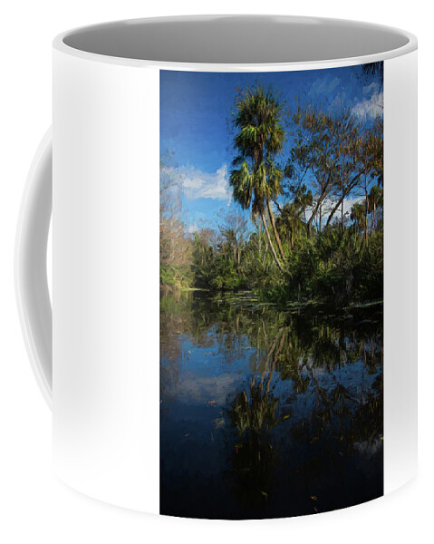Clouds Coffee Mug featuring the photograph Reflections in the Tropics Oil Painting by Debra and Dave Vanderlaan