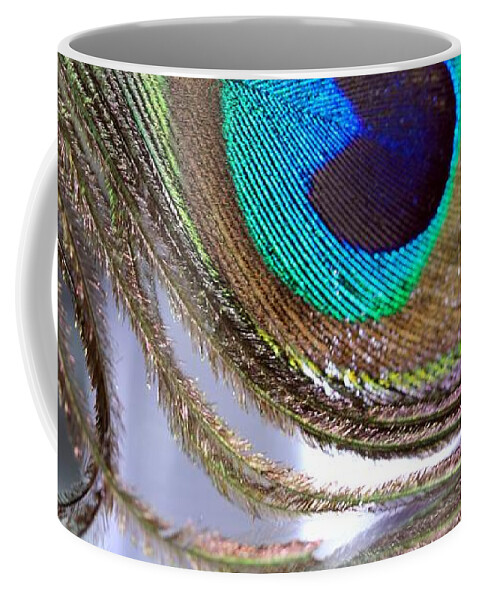 Peacock Feathers Coffee Mug featuring the photograph Reflections of a Feather by Angela Murdock