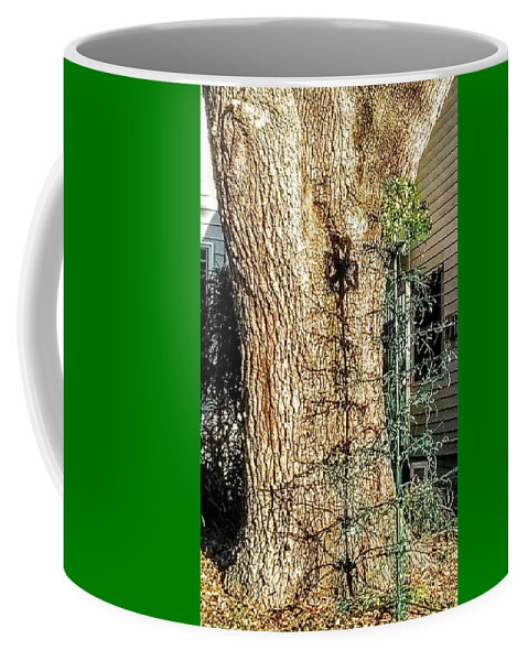 Shamrock Coffee Mug featuring the photograph Reflections by Suzanne Berthier